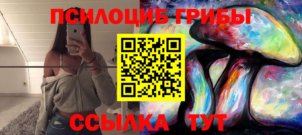 Волжский  Псилоцибиновые грибы мицелий  Вход с VPN  Псилоцибиновые грибы ЛСД 
