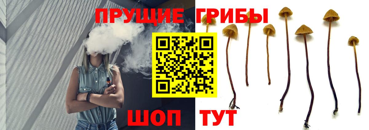 Псилоцибиновые грибы MAGIC MUSHROOMS Волжский