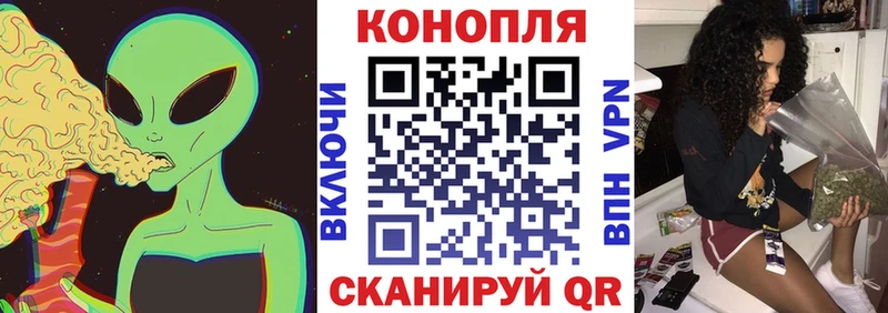 МАРИХУАНА конопля Волжский